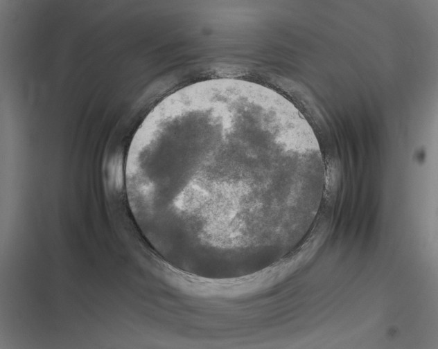 X0000116580046201001211314