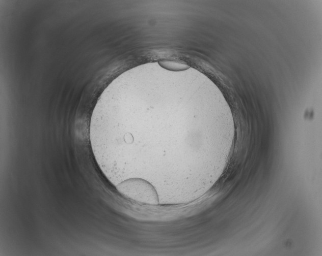 X0000116580048201001211314