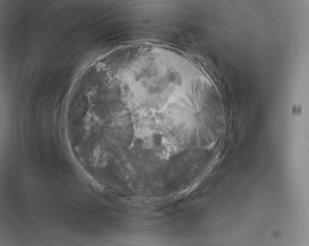 X0000116580049201001211313