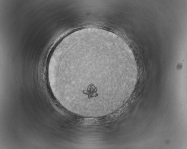 X0000116580050201001211313
