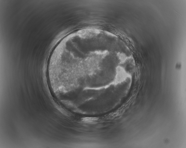 X0000116580051201001211313