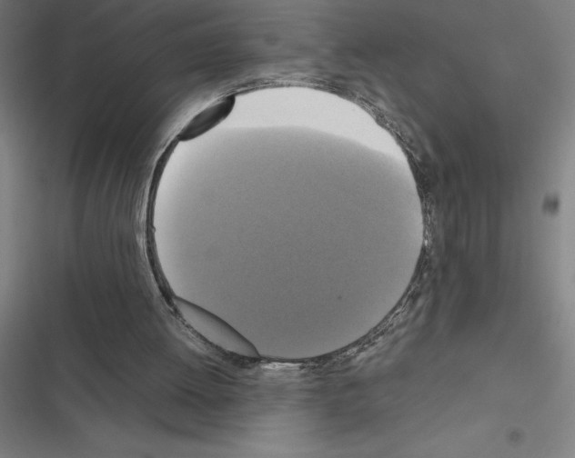 X0000116580052201001211313