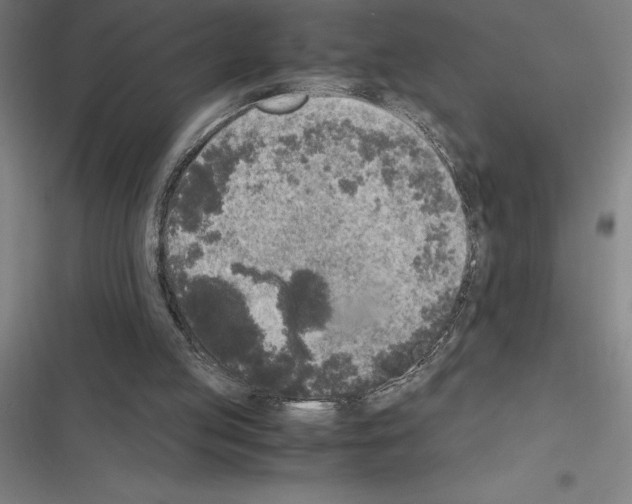 X0000116580053201001211313