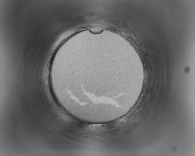 X0000116580054201001211313