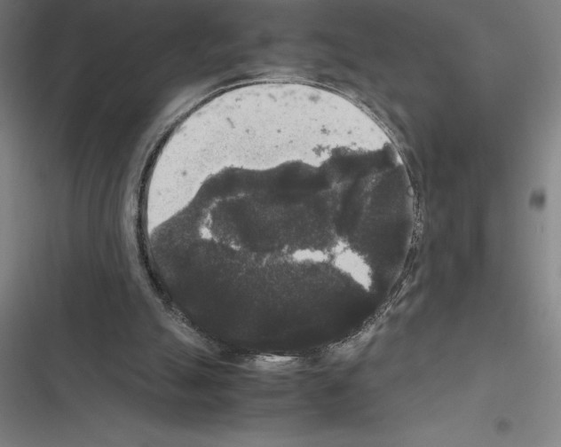 X0000116580055201001211313