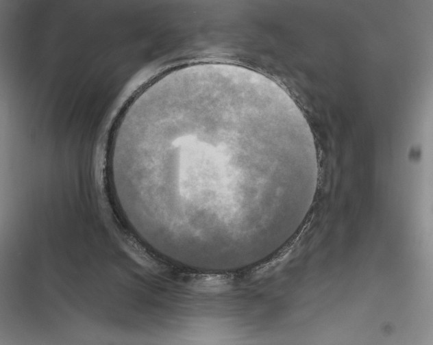 X0000116580056201001211313