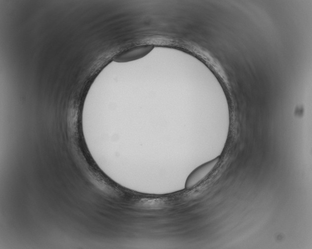 X0000116580057201001211313