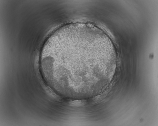 X0000116580058201001211313