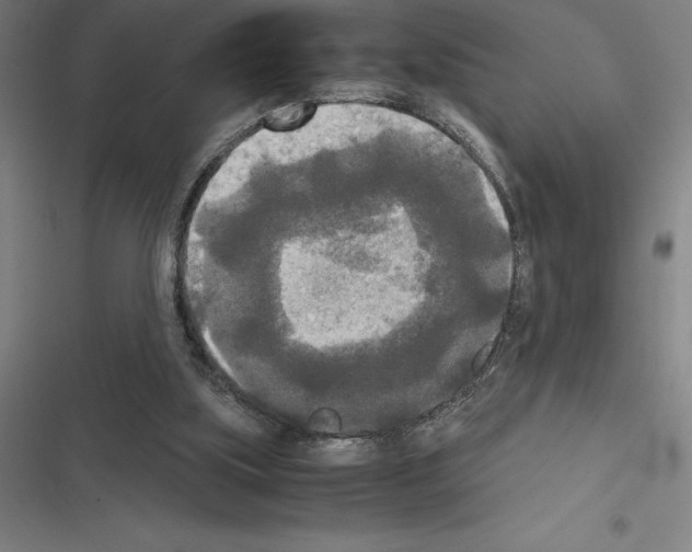 X0000116580059201001211313