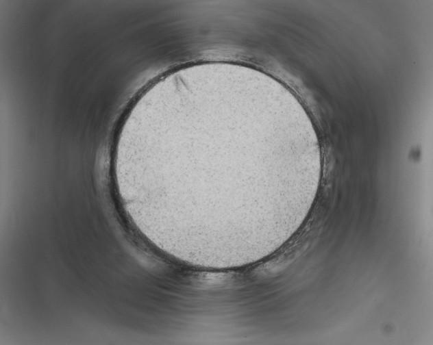 X0000116580060201001211313
