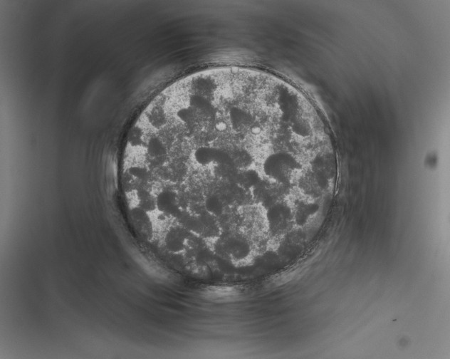 X0000116580061201001211313