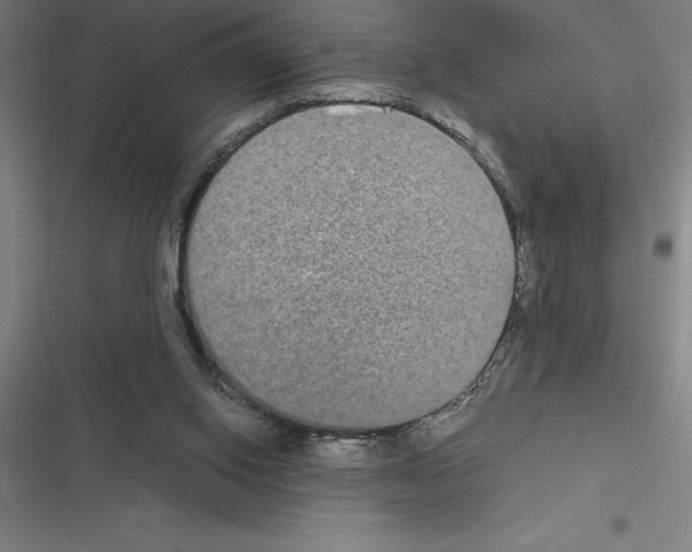 X0000116580062201001211313