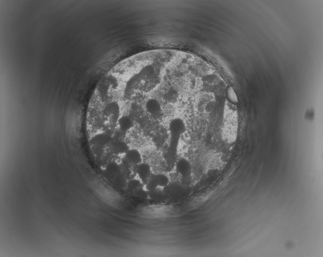 X0000116580065201001211313