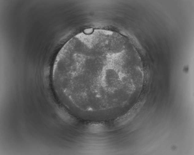 X0000116580066201001211313