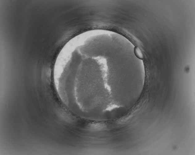 X0000116580067201001211313