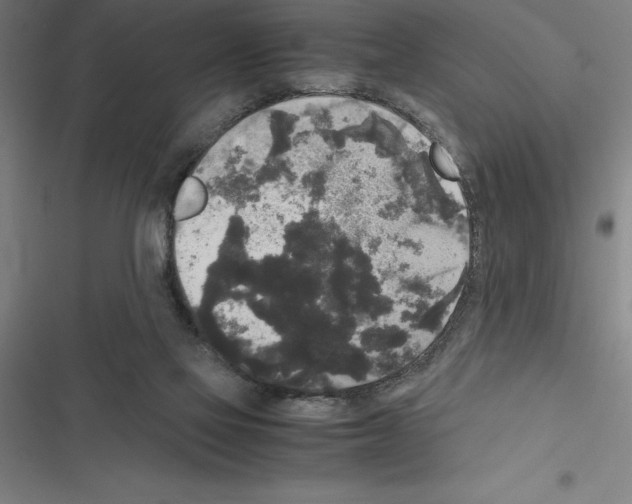 X0000116580069201001211313