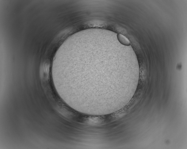 X0000116580070201001211313