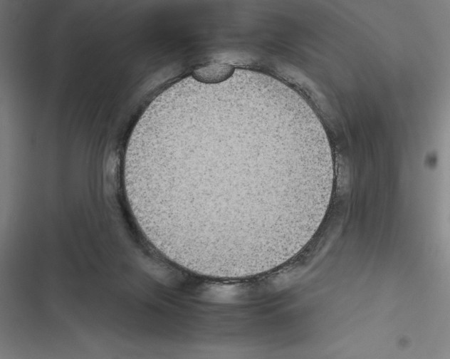X0000116580071201001211313