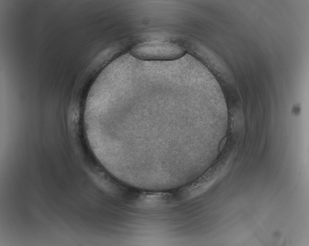 X0000116580072201001211313
