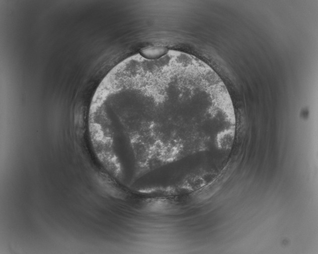 X0000116580074201001211313