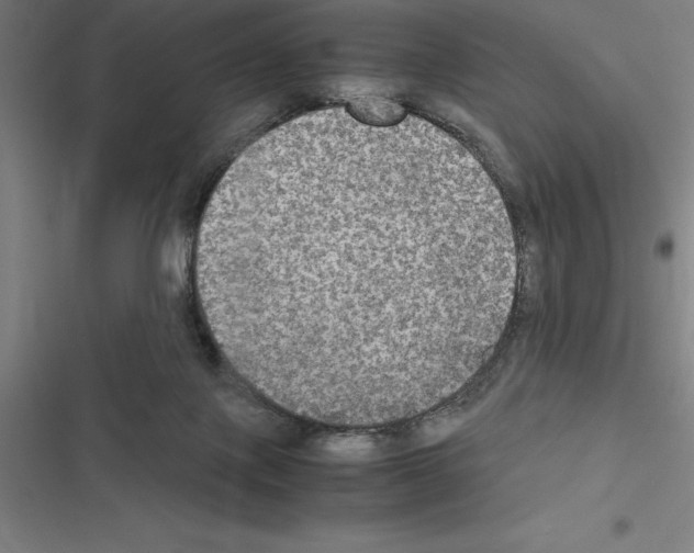 X0000116580075201001211313