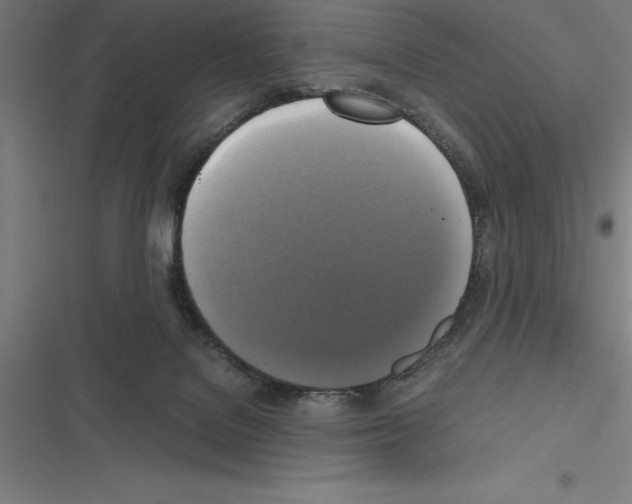 X0000116580076201001211313