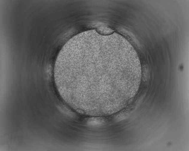 X0000116580077201001211313