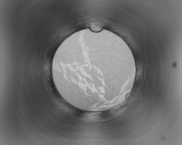 X0000116580078201001211313