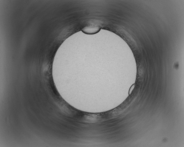 X0000116580079201001211313