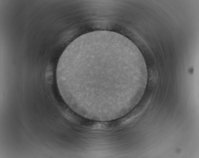 X0000116580080201001211313