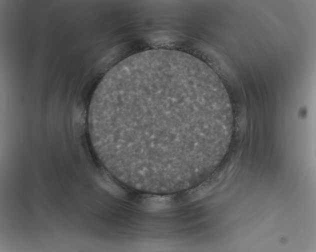 X0000116580081201001211313
