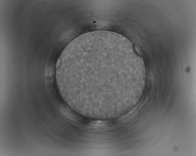 X0000116580082201001211313