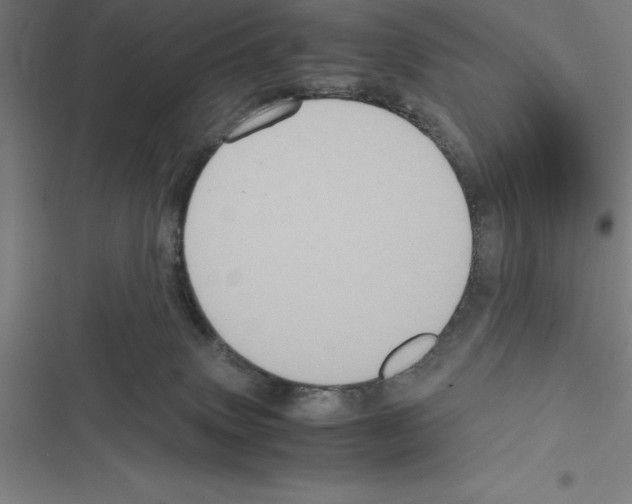 X0000116580083201001211313