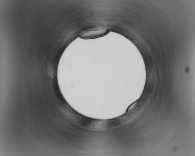 X0000116580084201001211313