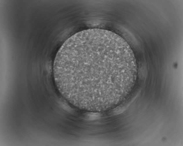 X0000116580085201001211313