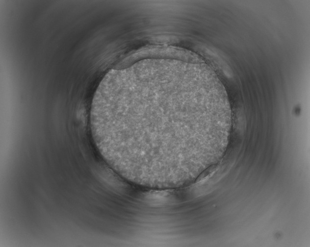 X0000116580086201001211313