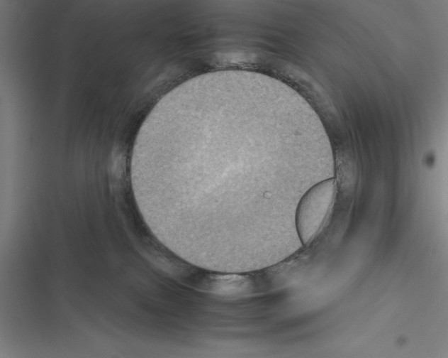 X0000116580087201001211313