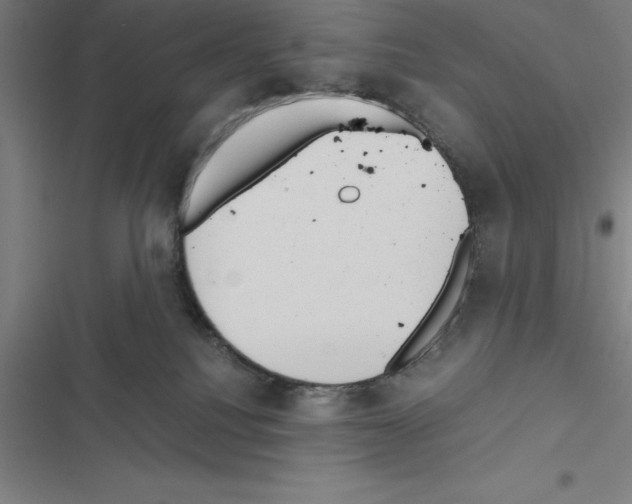 X0000116580088201001211313