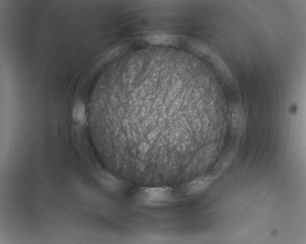 X0000116580089201001211313