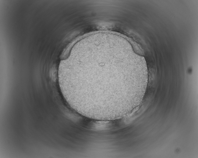 X0000116580090201001211313