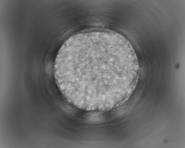 X0000116580093201001211313