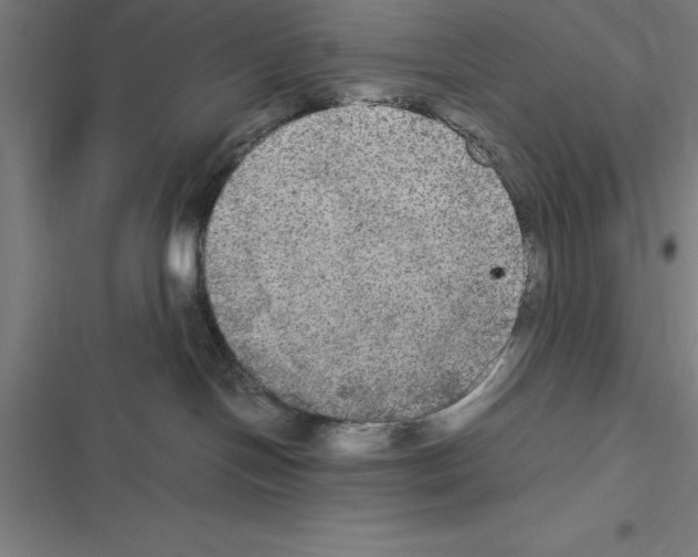 X0000116580094201001211313