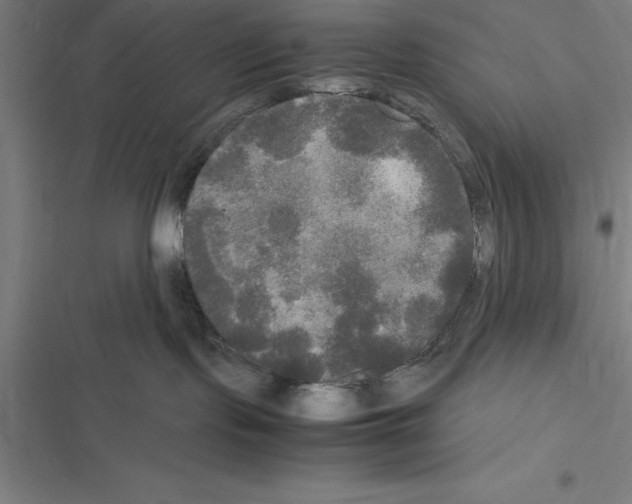 X0000116580095201001211313