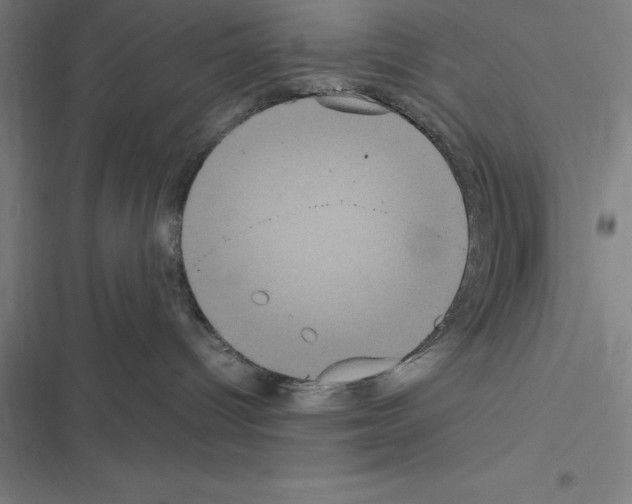 X0000116580096201001211314