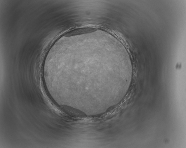 X0000116580097201001211313