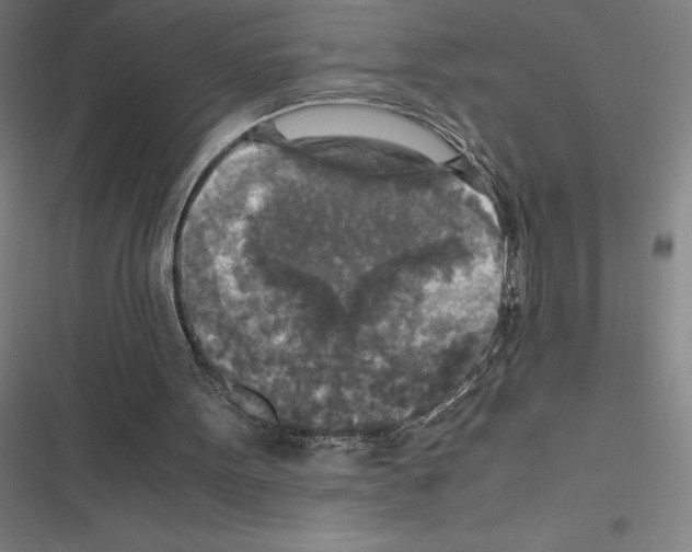 X0000116580099201001211313