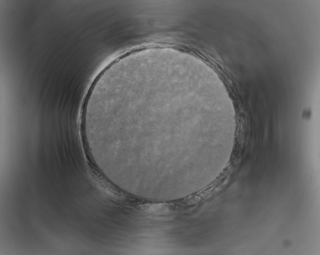 X0000116580100201001211313