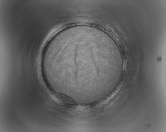 X0000116580101201001211313