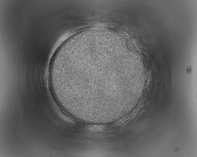 X0000116580102201001211313