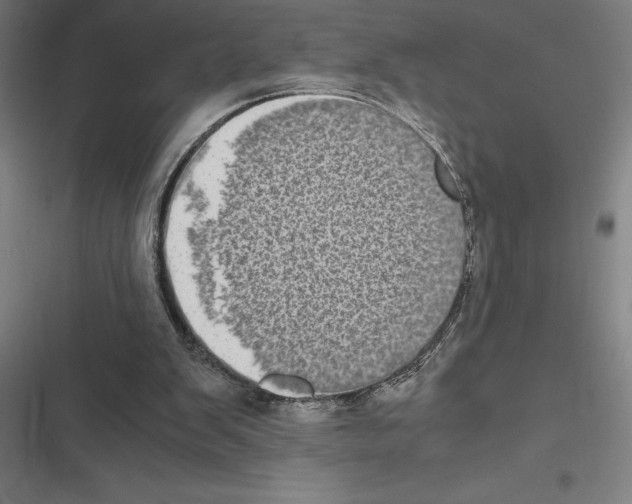 X0000116580103201001211313